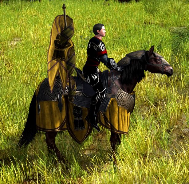 Fichier:Destrier du Lamedon.jpg