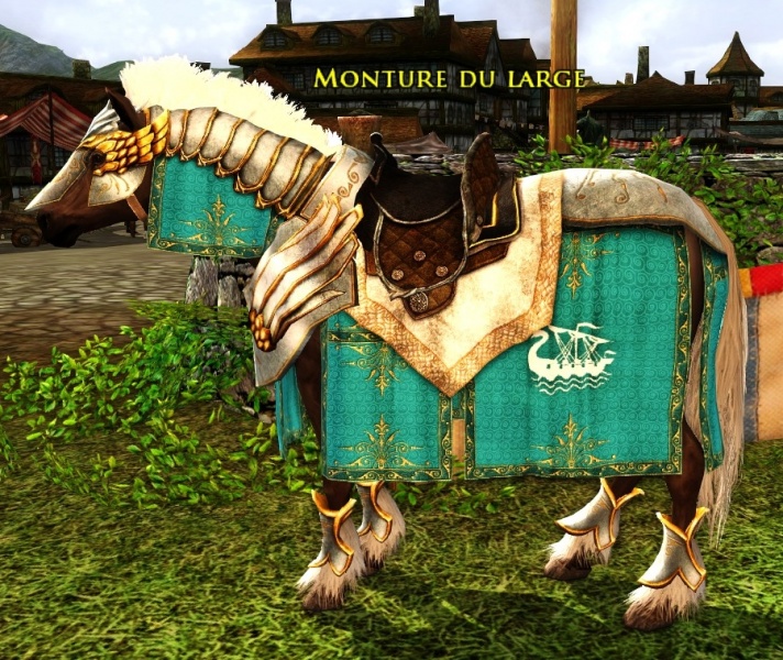 Fichier:Monture du large.jpg