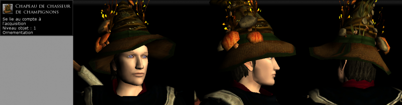Fichier:Chapeau de chasseur de champignons.png