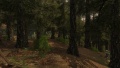 Vignette pour la version du 25 novembre 2014 à 23:23