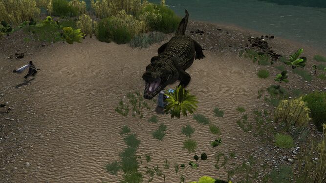 Joli crocodile