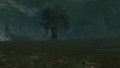 Vignette pour la version du 11 avril 2014 à 23:44