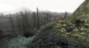 C'est ici qu'ils se cachent, à flanc de falaise