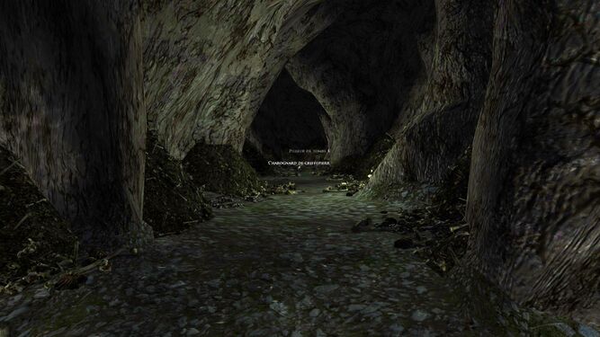 Tunnels.