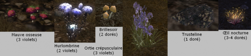 Fichier:Fleurs.png