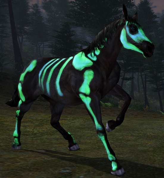 Fichier:Cheval squelettique peint vert luminescent.jpg