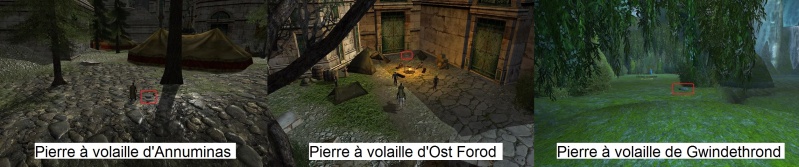 Fichier:Pierre a volaille Evendim.jpg