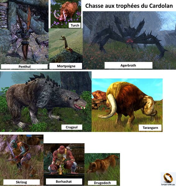 Fichier:Chasse aux trophées du Cardolan.jpg