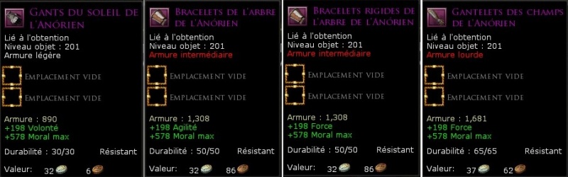 Fichier:4 gants de l'anorien.jpg