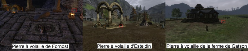 Fichier:Pierre a volaille Ht du Nord.jpg