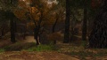 Vignette pour la version du 25 novembre 2014 à 20:40