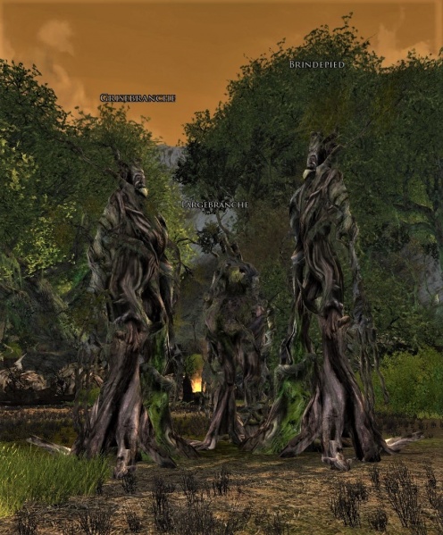 Fichier:Instance Lisière de fangorn 3 ents.jpg