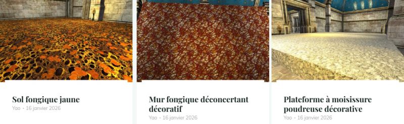 Fichier:Sol fongique jaune.jpg